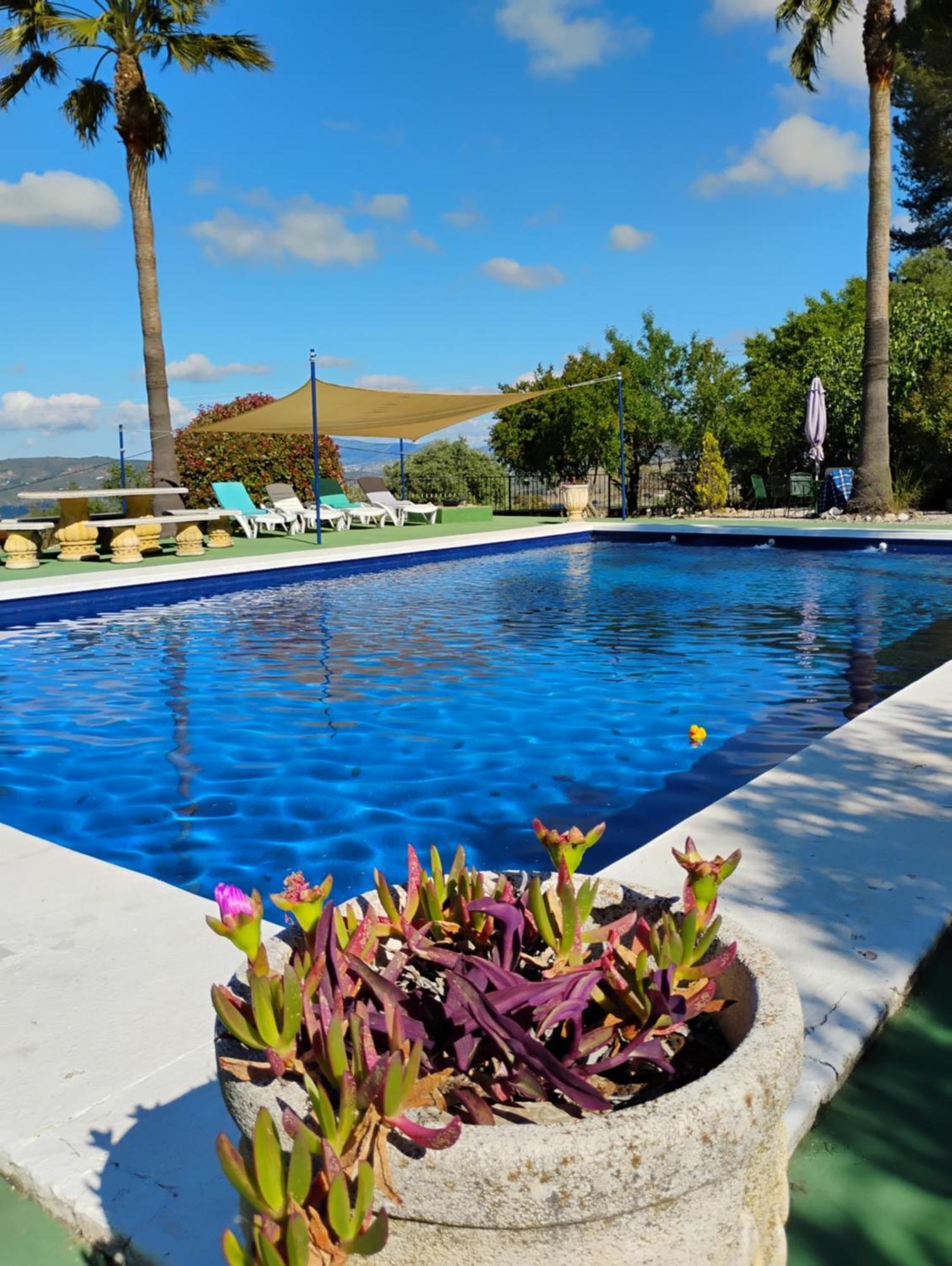 La Casita, Zagra Villa La Carrera de la Viña Eksteriør billede