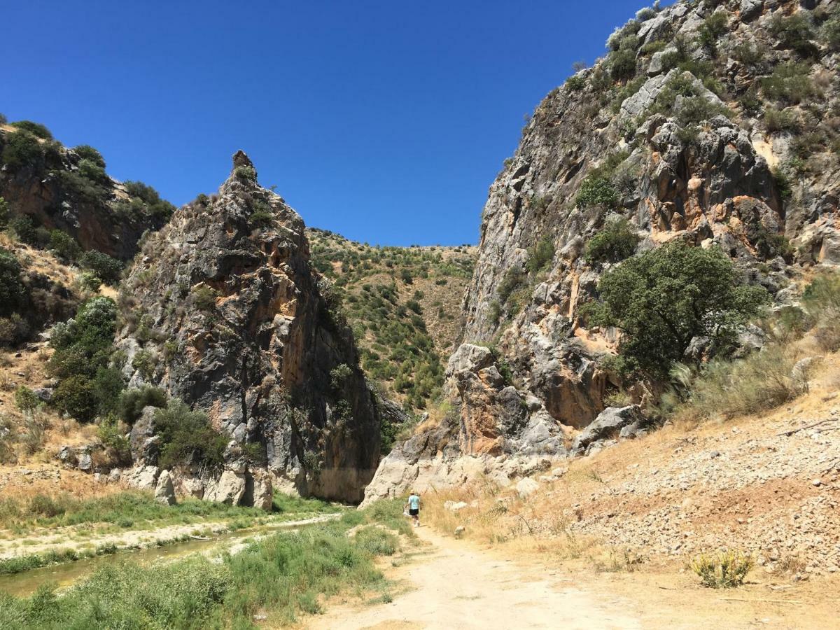 La Casita, Zagra Villa La Carrera de la Viña Eksteriør billede