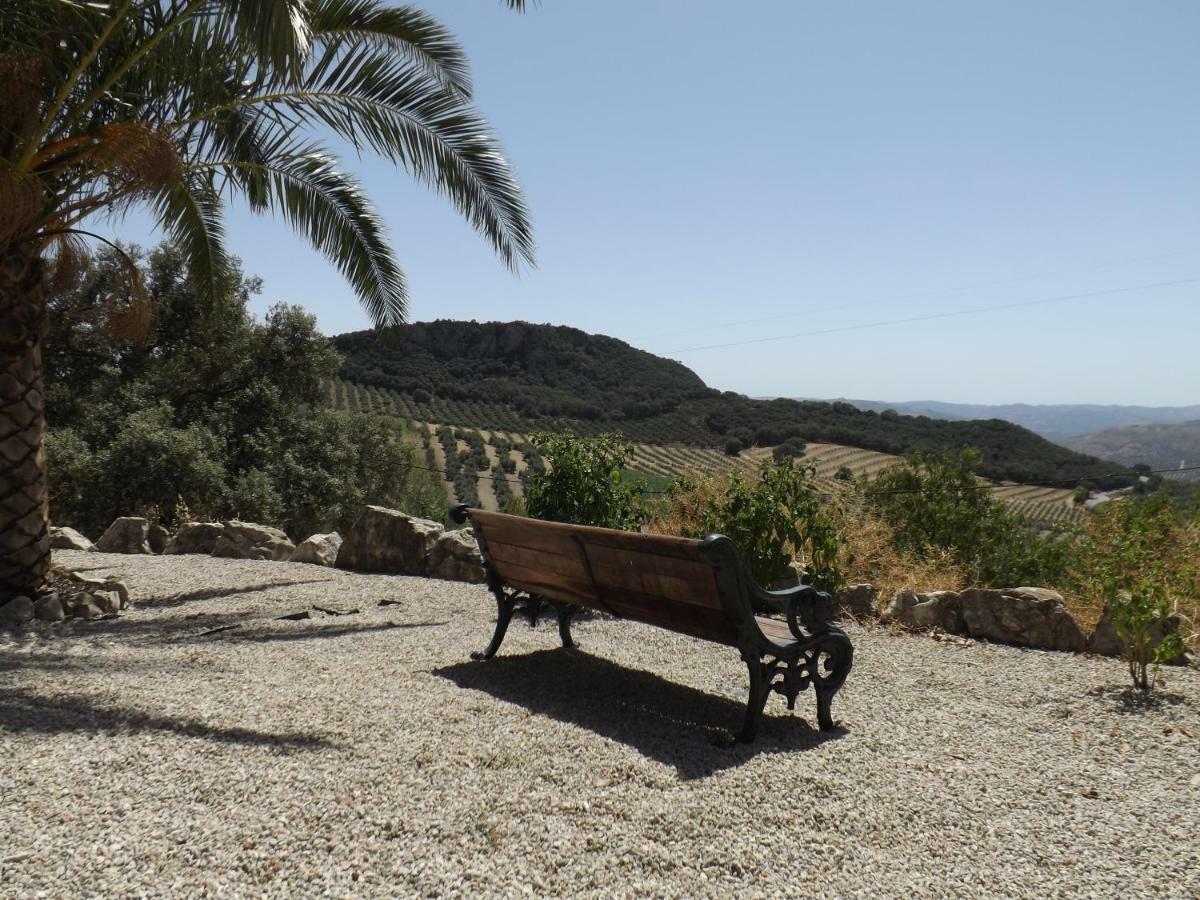 La Casita, Zagra Villa La Carrera de la Viña Eksteriør billede
