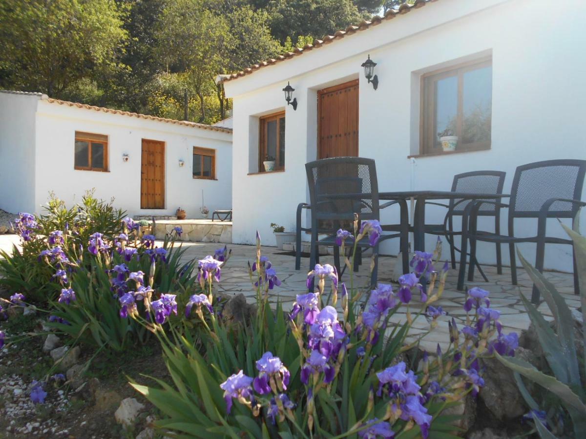La Casita, Zagra Villa La Carrera de la Viña Eksteriør billede