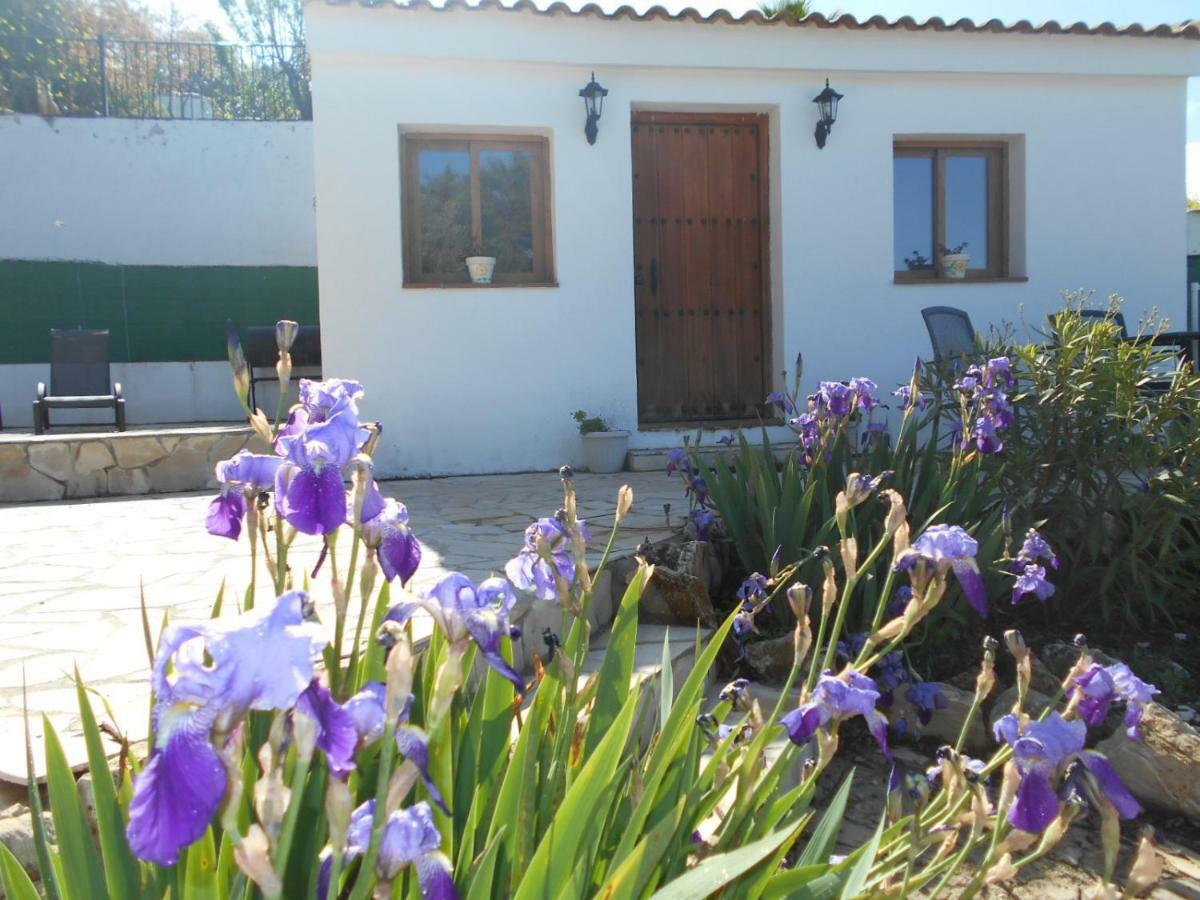 La Casita, Zagra Villa La Carrera de la Viña Eksteriør billede